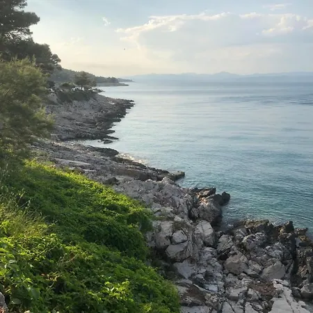 Olyntha ストモルスカ